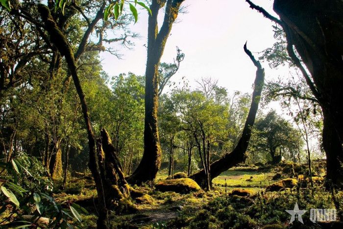 Bước chân chinh phục đỉnh Samu - Bước chuyển mình của du lịch Tà Xùa (Sơn La)